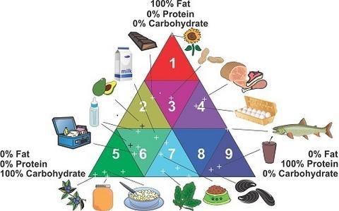1650685246881083.jpg food_triangle_2017-06-08.jpg